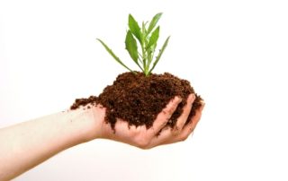 sustainable small business growth