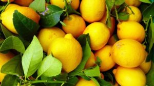 yellow-lemons-with-green-leaves